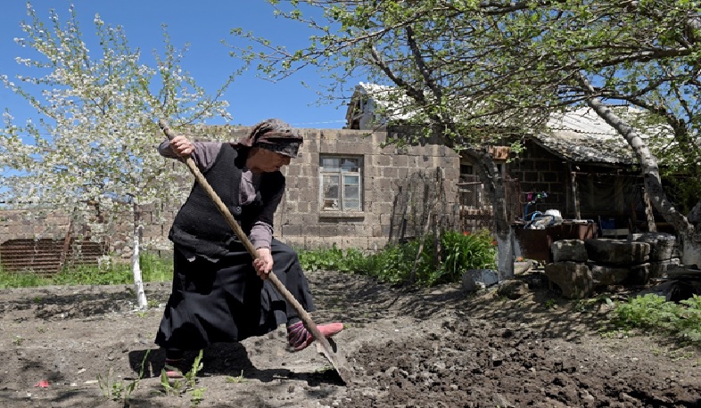 Գյուղաբնակ ընտանիքներն ավելի վստահ են դիմակայում COVID-19-ին. ՄԱԿ