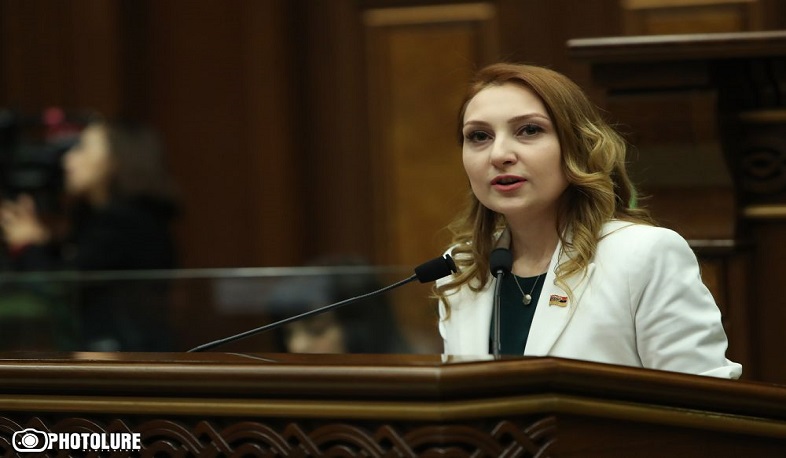 «Լուսավոր Հայաստանը» բերում է ԱԺ-ից դուրս գտնվող խուլիգանական խմբակների օրակարգը. Լիլիթ Մակունց