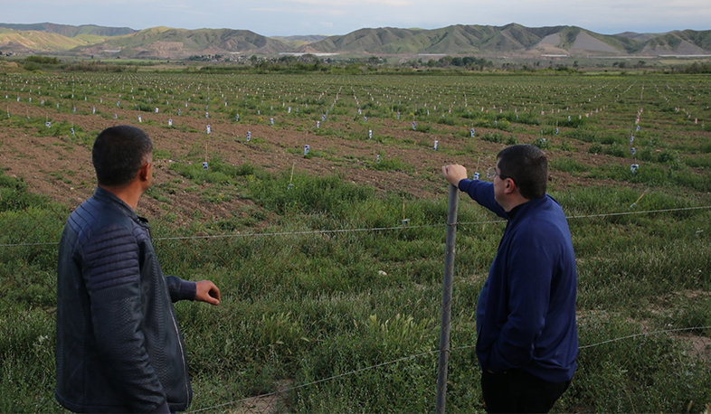 Հայրենիքում ներդրում կատարելու, կայուն եկամուտ ստանալու վստահության պաշարը մենք փորձելու ենք ավելացնել. Ա. Հարությունյան