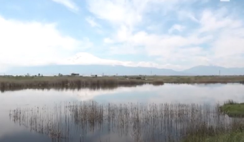 Ապագա համայնքի կանայք լուծել են ոռոգման հարցը