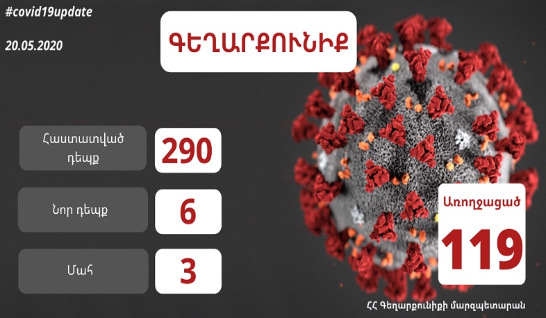 Գեղարքունիքում հաստատվել է կորոնավիրուսի 6 նոր դեպք, ընդհանուր՝ 290