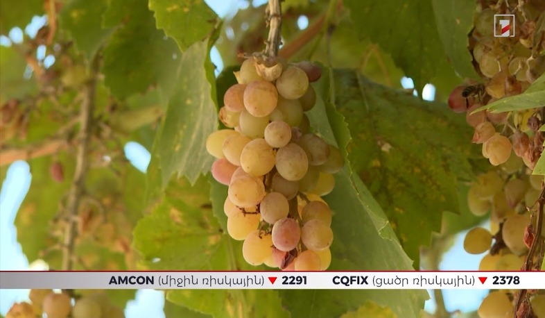 Ինդեքս | 22.05.2025