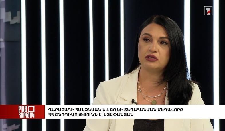 Բաց հարթակ. Ղարաբաղի հանձնման և բռնի տեղահանման մեղավորը ՀՀ ընդդիմությունն է. Ստեփանյան