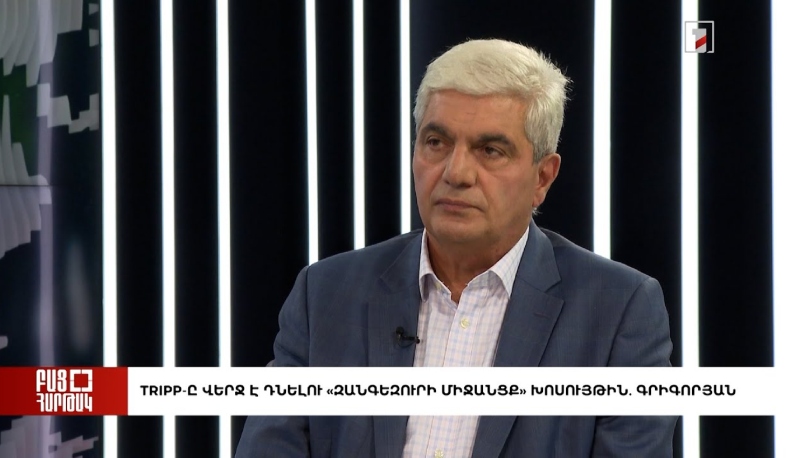 Բաց հարթակ. TRIPP-ը վերջ է դնելու «Զանգեզուրի միջանցք» խոսույթին. Գրիգորյան