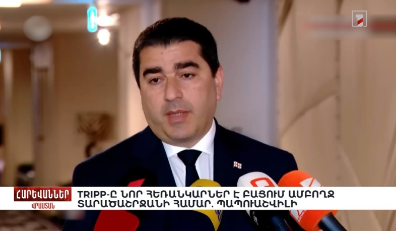 TRIPP-ը նոր հեռանկարներ է բացում ամբողջ տարածաշրջանի համար. Պապուաշվիլի. «Հարևաններ»