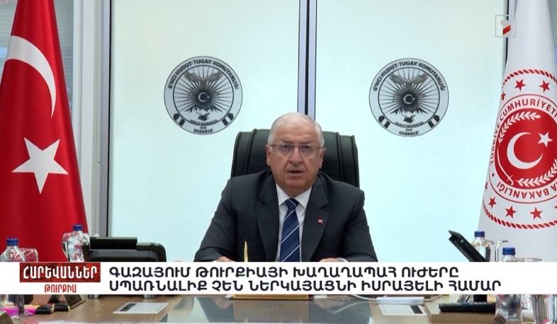 Գազայում Թուրքիայի խաղաղապահ ուժերը սպառնալիք չեն ներկայացնի Իսրայելի համար. «Հարևաններ»